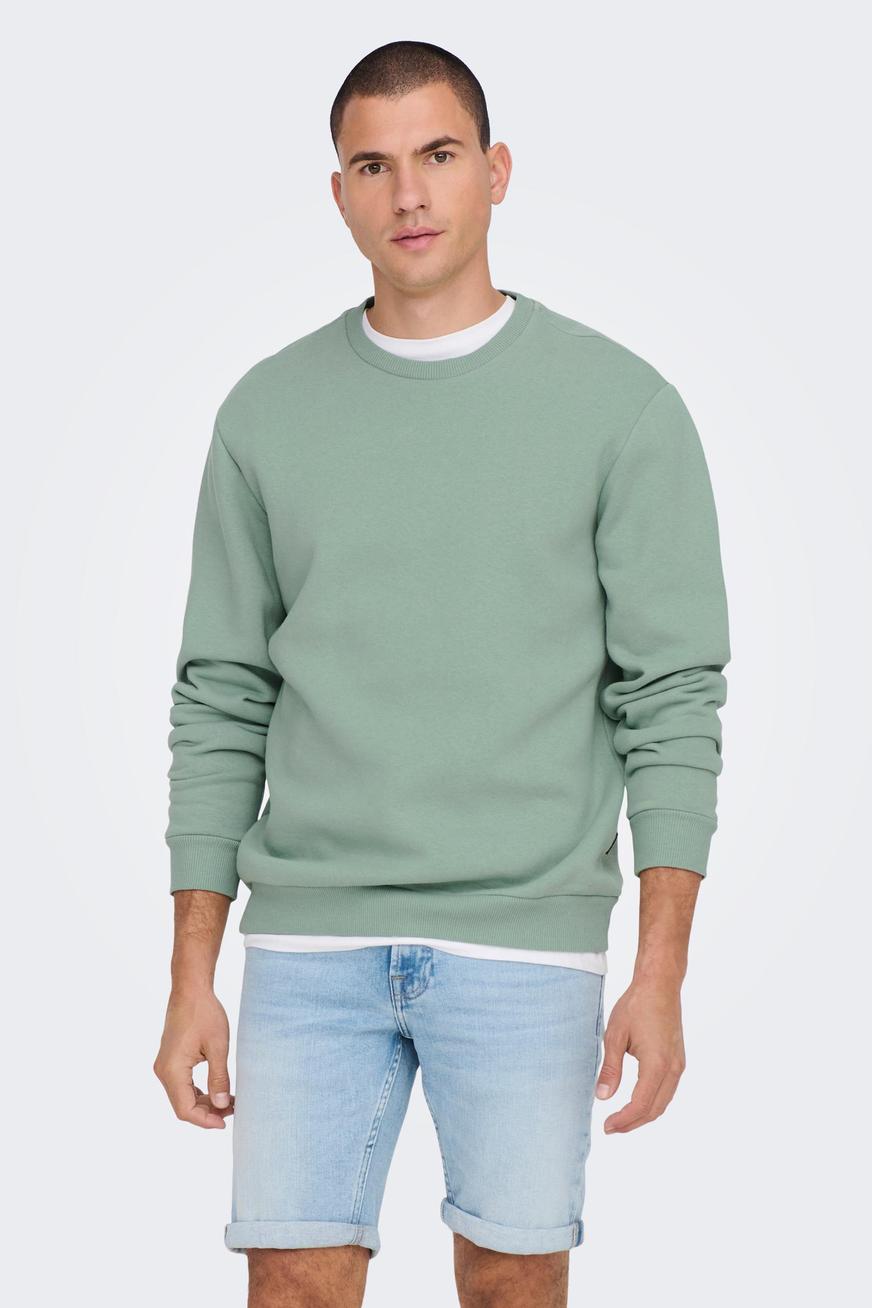 Sweater Grijs